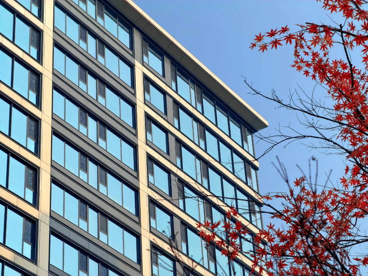 943ec2c5a82a5c250c65d1dba0e2e3a3